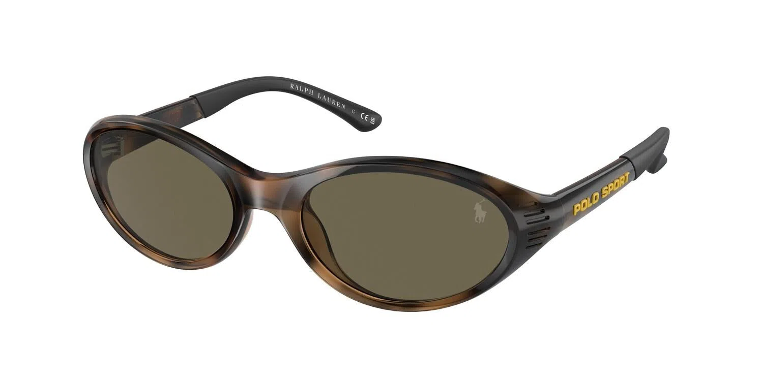 Polo 4197U Sunglasses - view 2